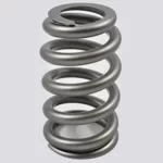 Micro Spring Products Valve Springs