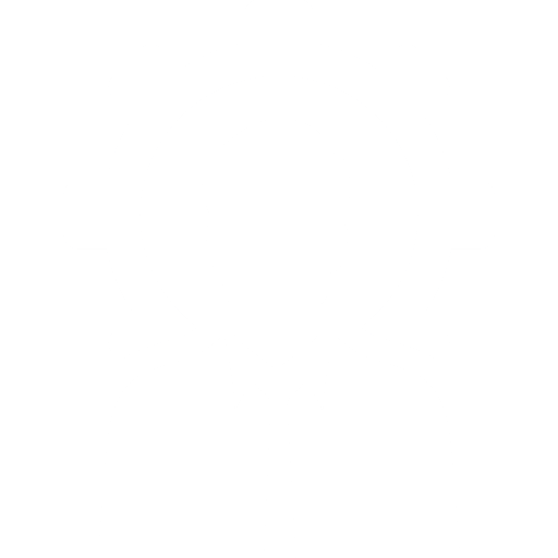Professional